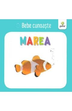 Marea - Bebe cunoaste foto