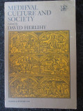 Medieval culture and society