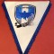 Fanion (protocol) fotbal - CS OTOPENI