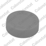CALORSTAT by Vernet RC0184 buson,vas expansiune