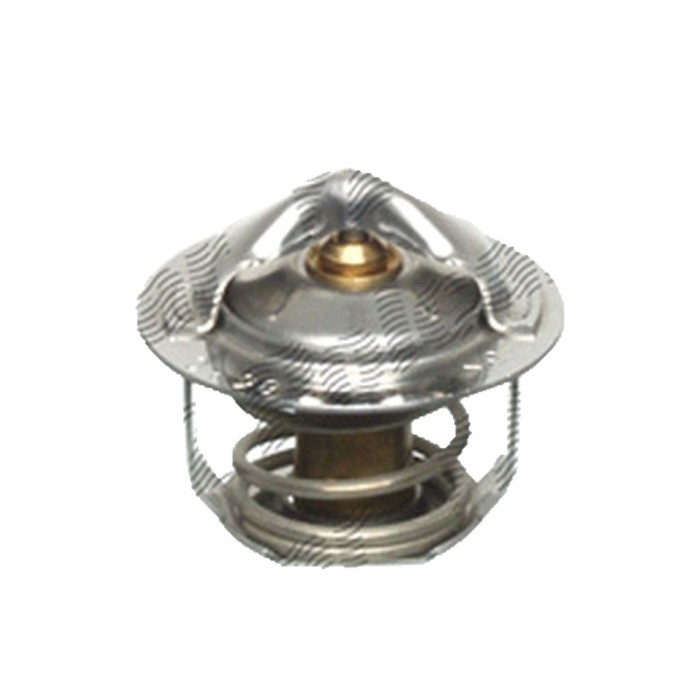 Termostat lichid racire Citroen C25 Bus (280, 290), Cx 1 (Ma), Cx 1 Break (Ma), Cx Ii, Cx 2 Break; Fiat DUCATO caroserie (280); Peugeot J5 Bus (280p)
