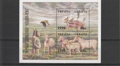 Fauna,animale domestice,Ucraina. foto