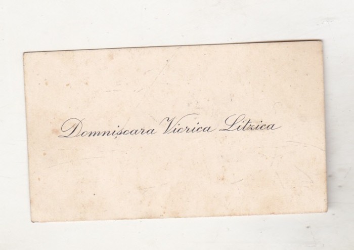 bnk div Carte de vizita Viorica Litzica