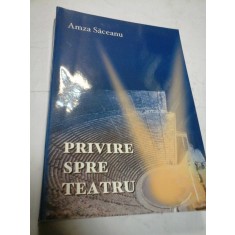 PRIVIRE SPRE TEATRU - AMZA SACEANU