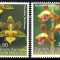 GRENADA CARRIACOU &amp; PETITE MARTINIQUE 2007, FLORA, MNH