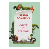 Pasari domestice. Carte de colorat