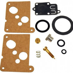 Kit reparatie carburator Briggs Stratton 494625 (5 CP)