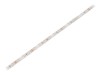 Bandă LED Alb Cald 12V IP65