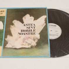 Nicolae Sabău ‎– Astea Sînt Horile Noastre Cîntece Populare Minerești - vinil LP