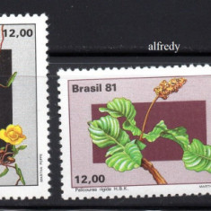 BRAZILIA 1981, Flora, MNH, serie neuzata