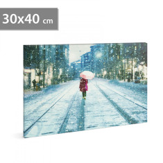 FAMILY POUND - Tablou cu LED &ndash; peisaj de iarnă, 30 x 40 cm 58017C