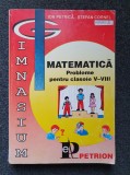 MATEMATICA PROBLEME PENTRU CLASELE V-VIII - Ion Petrica, Stefan Cornel