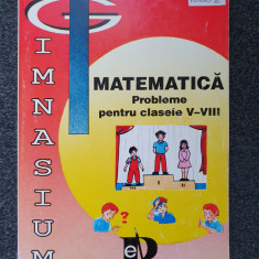 MATEMATICA PROBLEME PENTRU CLASELE V-VIII - Ion Petrica, Stefan Cornel