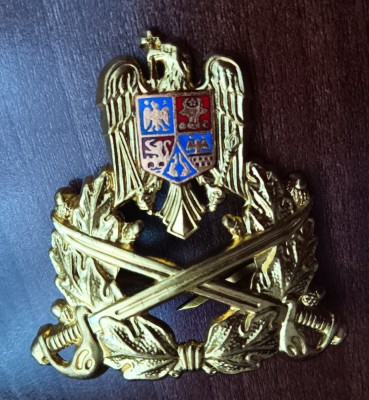 QW14 - Emblema militara / cuc - Uscat - piesa de colectie foto