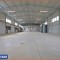 Hala noua | 550mp | Toate utilitatile | IMGB - Sector 4
