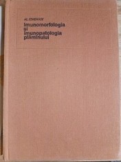 Imunomorfologia si imunopatologia plamanului- Al.Eskenasy
