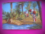 HOPCT 6696 LA OAZA IN SUD- ALGERIA -AFRICA-NECIRCULATA