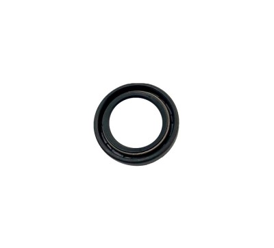 REMS Semering 060312 ProAdvanced PowerfulTools foto