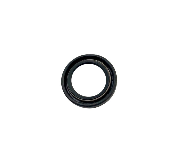 REMS Semering 060312 ProAdvanced PowerfulTools