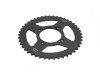 Pinion Transmisie Spate Moto 428/45 JT Sprockets JTR838.45