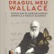Dragul meu Wallace - Cristian Vasilescu