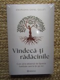 Vindeca-ti radacinile - Anuradha Dayal Gulati