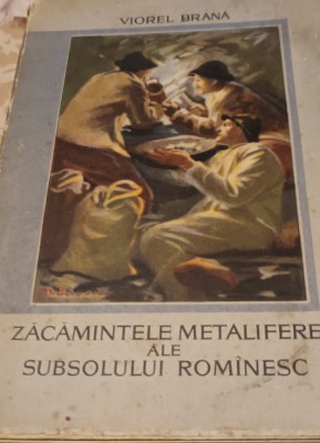 ZACAMINTELE METALIFERE ALE SUBSOLULUI ROMANESC VIOREL BRANA foto