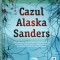 Joel Dicker - Cazul Alaska Sanders