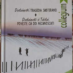 DOSTOIEVSKI: TRAGEDIA SUBTERANEI; DOSTOIEVSKI SI TOLSTOI: POVESTE CU DOI NECUNOSCUTI-ION IANOSI