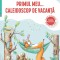 Primul meu... Caleidoscop de vacanță. Caiet de vacanță pentru clasa pregătitoare