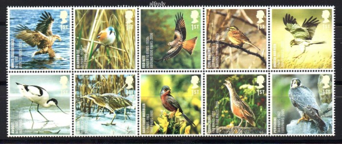 MAREA BRITANIE 2007, Fauna, Pasari, serie neuzata, MNH