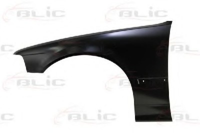 Aripa fata BMW Seria 3 Compact (E36) (1994 - 2000) BLIC 6504-04-0060311P foto