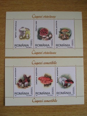 M1 TX8 5 - 2003 - Ciuperci - tripticuri foto
