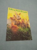 Cumpara ieftin CARTE POSTALA FELICITARE PASTI CIRCULATA