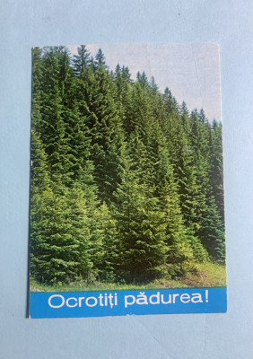 Calendar 1981 ocrotiți natura foto