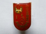 Insigna pionier inventator locul I.