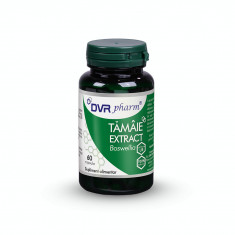 Extract de tamaie, 60 capsule, DVR Pharm