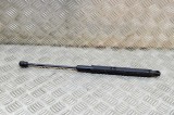 Amortizor capota st&acirc;nga față MERCEDES-BENZ C Cabrio A205 2019 OEM: A2059800064 15483554