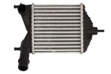 Radiator intercooler FIAT PUNTO Caseta/ Hatchback (188_) (2000 - 2010) THERMOTEC DAF014TT
