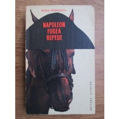 Neagu Radulescu - Napoleon fugea repede