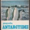 Gheorghe Neamu - Geografia Antarctidei