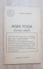 AGNI YOGA. Dictare celestă - Elena Roerich