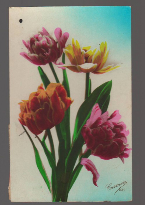 CPIB 20832 FELICITARE - LALELE, FRANTA, 1927