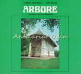 Cumpara ieftin Arbore. Historical And Art Monument - Corina Nicolescu, Ion Miclea