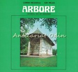 Arbore. Historical &amp; Art Monument - Corina Nicolescu, Ion Miclea, Bucuresti 1978, Engleza, Biografie