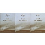 Opera poetica Vol. 1-3 - 2003 - Emil Brumaru (V65)