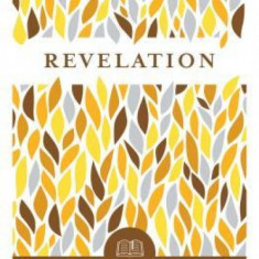 Revelation (Everyday Bible Commentary Series)