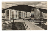 CPIB 21643 - CARTE POSTALA - PIATRA NEAMT, Circulata, Fotografie