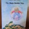 The magic Bubble Trip - Ingrid and Dieter Schubert