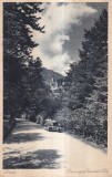 Drum spre Castelul Peles (circulata 1930)